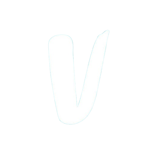 Vinted Logo